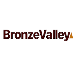 BV Primary Logo